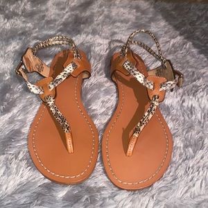 Coach snake sandals